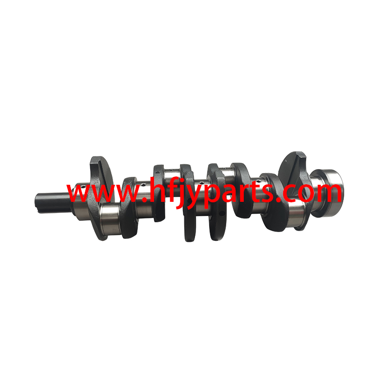 Forklift Parts Engine Crankshaft for 495B-05004A